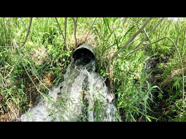 “BEAVERS BARRIER BROKEN” Culvert Unclogged And Flowing