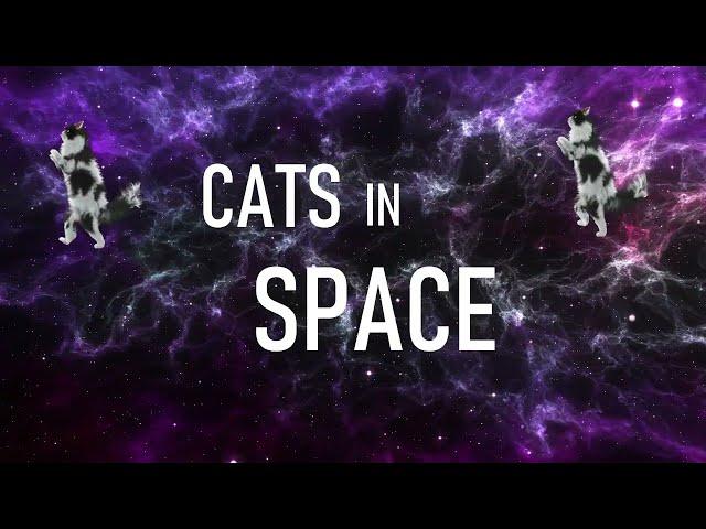 Cats in Space Pt 2 - How to generate chords with AudioCipher