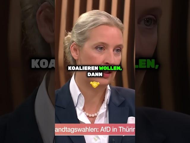 Eine bürgerliche Mehrheit ist gewünscht - Alice Weidel @ZDFheute