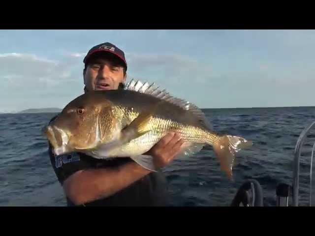 Italian Fishing TV - Scorziello - Traina col vivo nel golfo dell'Asinara