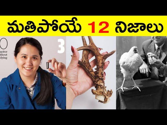 Top 12 Facts In Telugu | Amazing & Unknown Facts | Interesting Facts In Telugu | Ep - 44