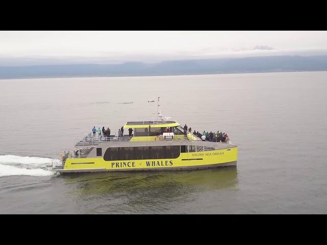 Prince of Whales Introduces New Vessel The Salish Sea Dream