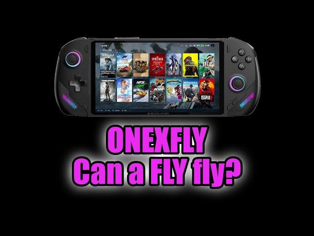 ONEXFLY - Can a FLY fly?