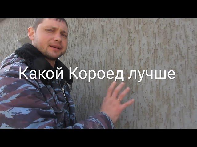 Короед. Какой лучше.