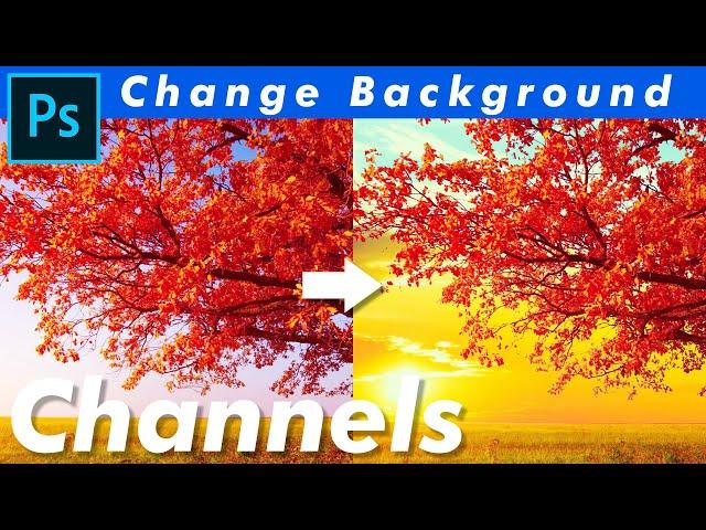 Remove Background with Channels Photoshop cc SMK Grafix