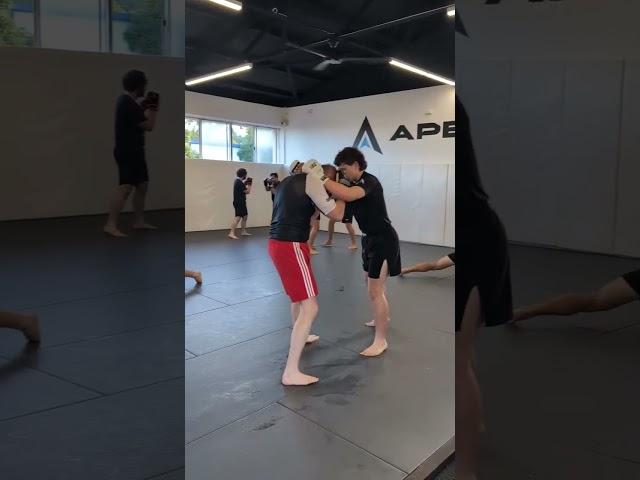 Apex MMA Dee Why