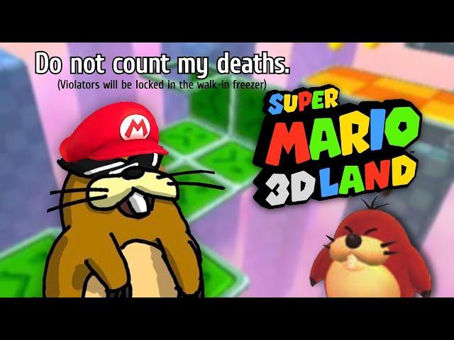 Playing Mario 3D Land For the First Time! and in 2D! (Playing Every Mario)