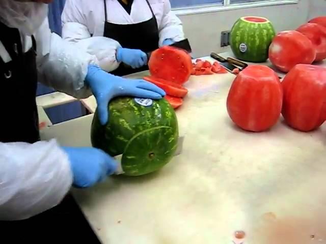 Processing watermelon