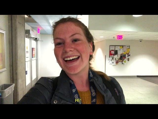 Why do you love the library?