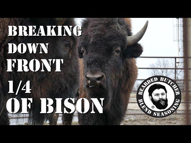 How to Cut a Front Quarter of Bison! (Part 1) by the Bearded Butchers