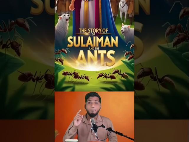  Speaking Ants - Quran  Proved | Islam & Science Facts  | @LEETVNetwork