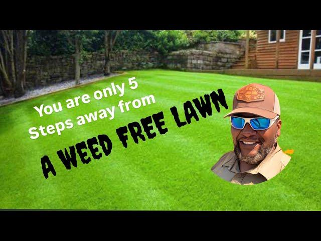 "Top 5 Must-Do Tips to Prevent Lawn Weeds in 2025 | Bermuda Grass Edition"