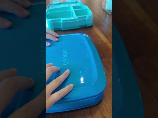 Kid's Bentgo Lunch Box Review - Is It Worth It?