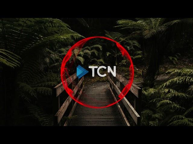 Pascal Letoublon - Friendships (Lost My Love) ft. Leony [TCN Music]