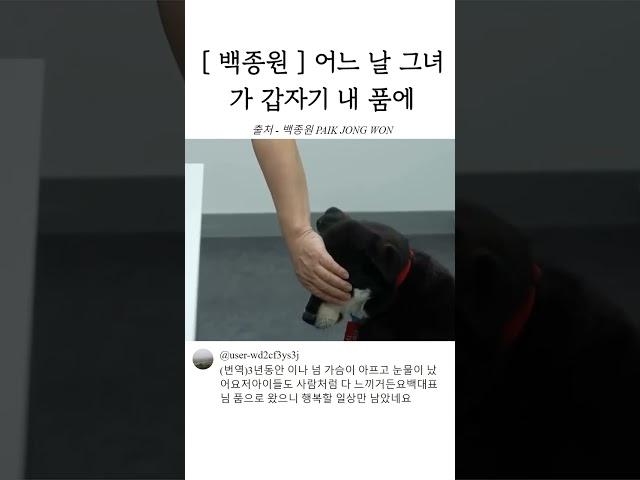 [ 백종원  ] 어느 날 그녀가 갑자기 내 품에 #shots