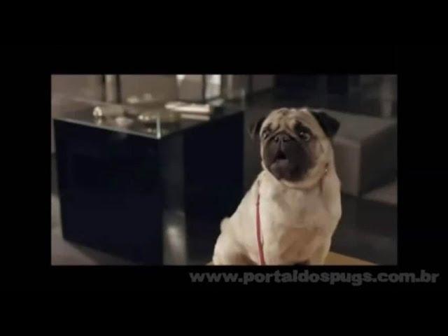 mBank: "Crédito Por Telefone" - Comercial de TV - Propaganda com Pug