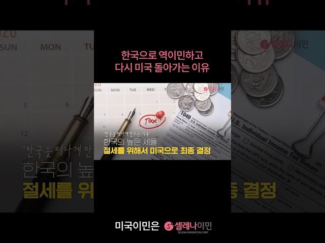 한국 역이민 후 다시 미국 가는 이유