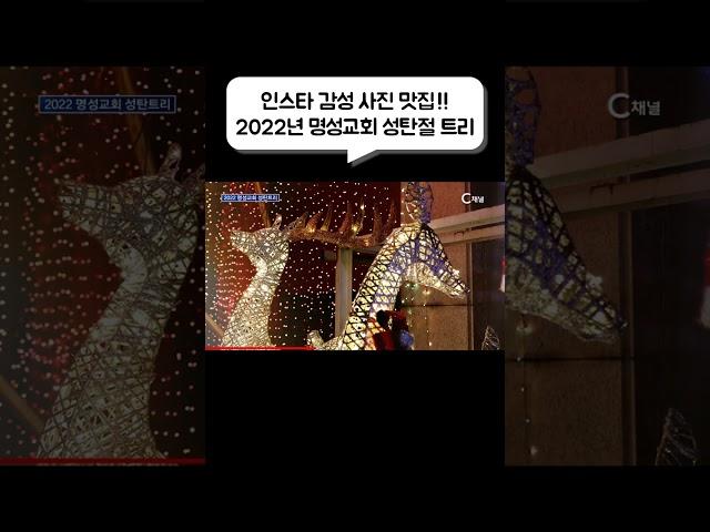 인스타 감성 사진 맛집 #shorts #성탄절 #크리스마스