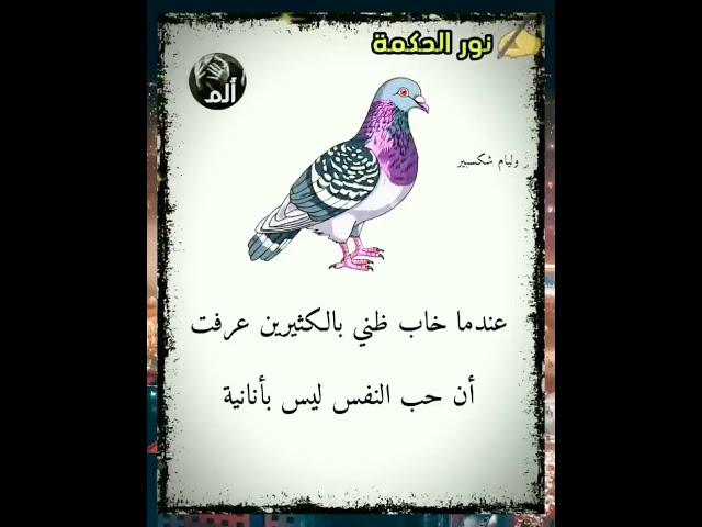 حكم وامثال واقوال عن الحياة |اجمل ماقيل عن الحياه #حكمة_اليوم #اقوال #امثال #تحفيز #حكم