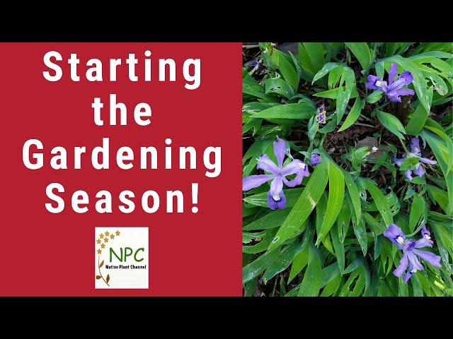 What's happening in the spring garden!