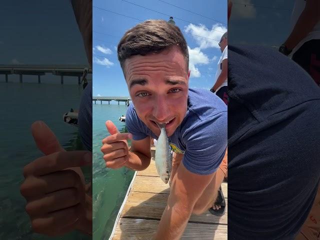 WHEN PLAYING WITH THE FISH GOES RIGHT