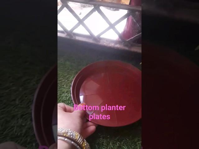 140 Rupees me 10 plates for bottom planter  plates very useful  in garden##trending #viral#ytshorts