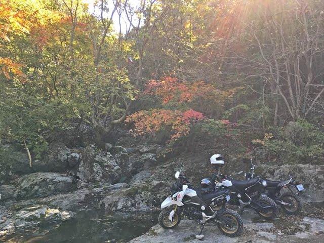 Honda Grom/MSX125 - hill climb at the south korea in gyeong-ju san-nae haeinsa forest road up hill.