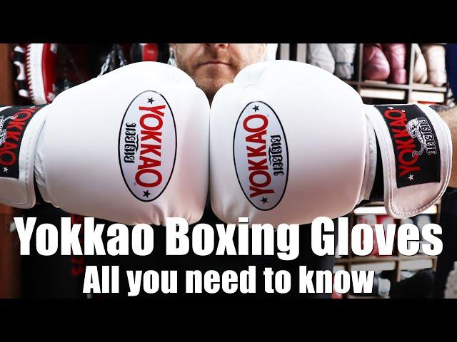 Yokkao Boxing Globes Review | All you need to know | Enso Martial Arts Shop