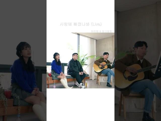 마리탱 (MRT), 망고팔트 (MangoPhalt) - 사랑에 빠졌나봐 (Live) #shorts