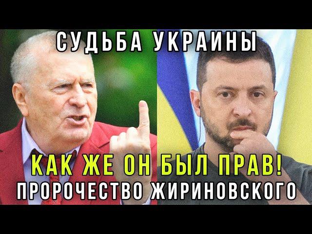 Это надо видеть! Жириновский про Украину и Курскую область - очередное пророчество гения