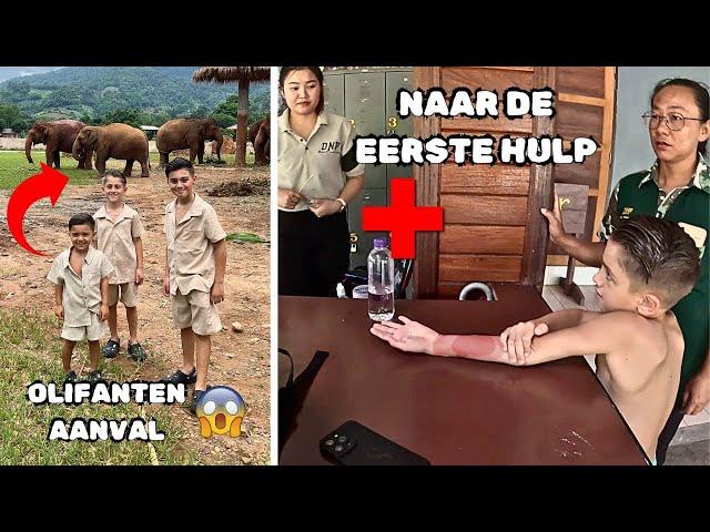 MIDDEN TUSSEN WILDE OLIFANTEN & HET GAAT MIS HIER IN THAILAND | #985