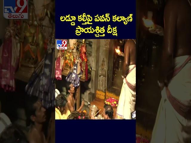 Pawan Kalyan Deeksha : లడ్డూ కల్తీపై పవన్ కల్యాణ్ ప్రాయశ్చిత్త దీక్ష | TTD Laddu - TV9