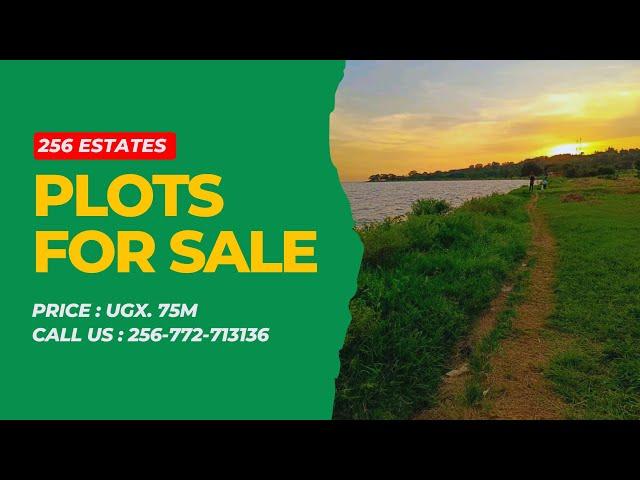  Lakeside Living at Entebbe Kawuku Bwerenga Estate | 256 Estates Uganda