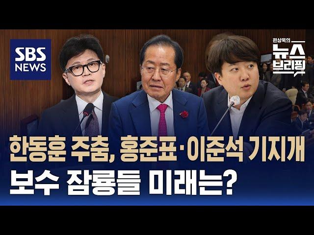 한동훈 주춤, 홍준표·이준석 기지개…보수 잠룡들 미래는? / SBS / 편상욱의 뉴스브리핑