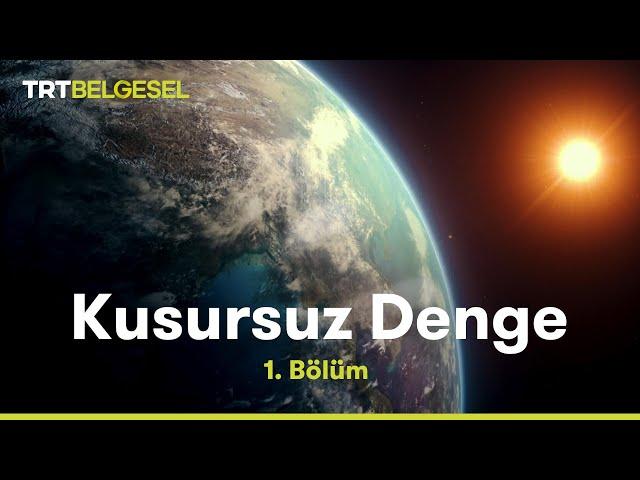 Kusursuz Denge | Dünya | TRT Belgesel