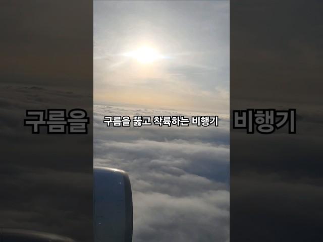 낭만