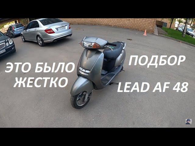 Выбираем Lead 48. Реально найти живой?