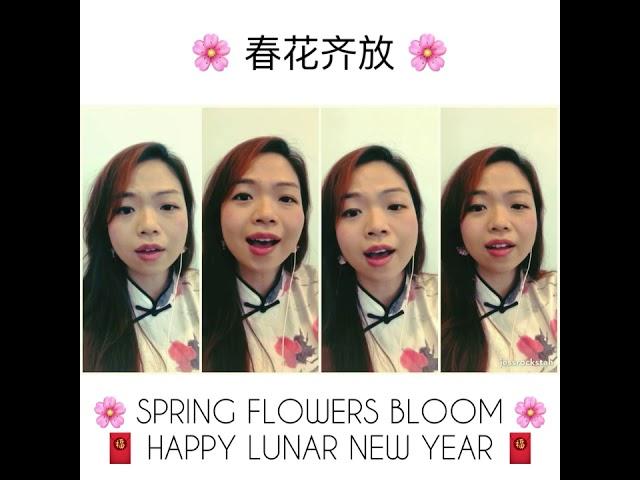 春花齐放 (chūn huā qí fàng) Spring Flowers Bloom - Chinese New Year Song