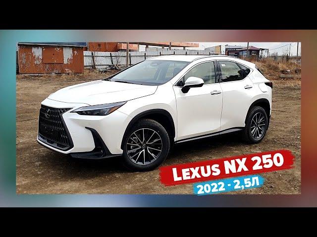 Космический Lexus NX 250 2022 2.5л | Новый кроссовер премиум класса Лексус NX 250