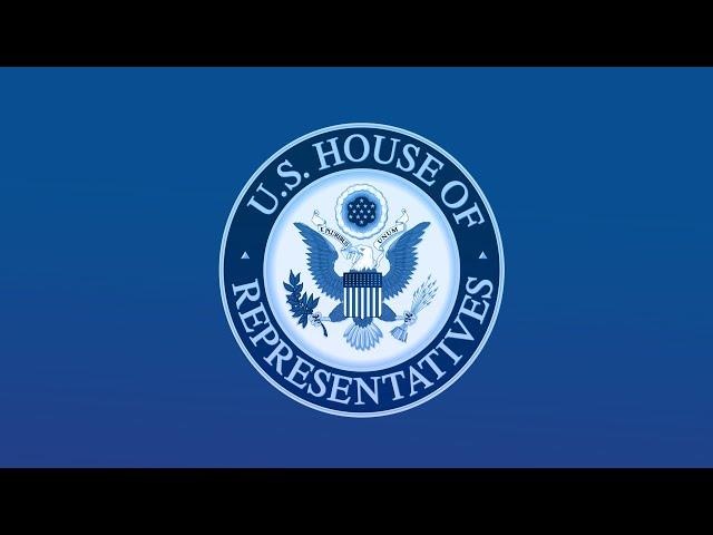 Virtual Town Hall with Rep. Wasserman Schultz and Mike Linden