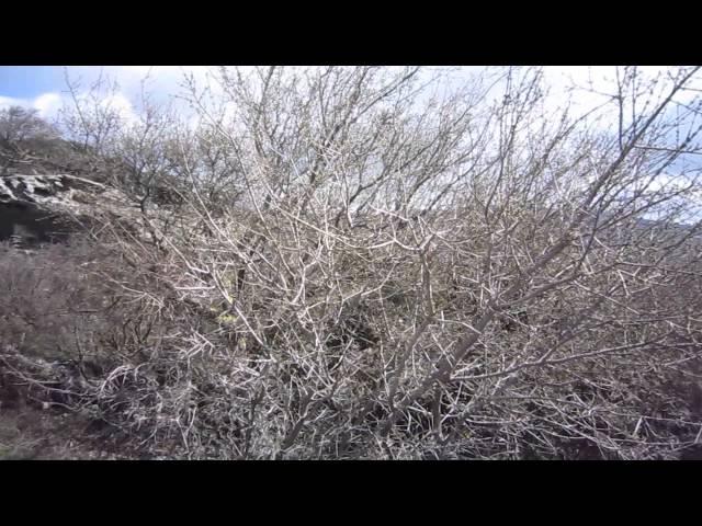 Andros Routes