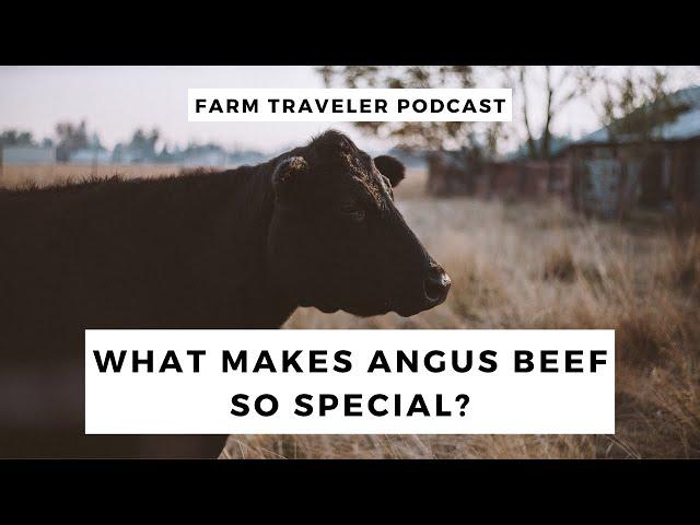 The History of Certified Angus Beef