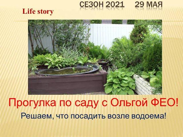 У нас в гостях Ольга ФЕО! Решаем, что посадить у водоема!