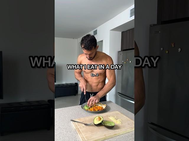 WHAT I EAT IN A DAY (Ep. 2) High Protein, High T!