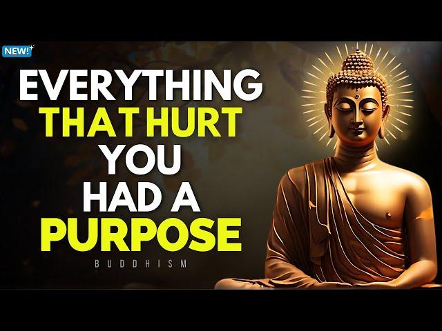 Everything Happens for a Reason | Buddhist Wisdom For Peace