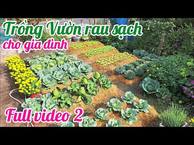 Full video 2 - Cách trồng Vườn rau sạch cho gia đình