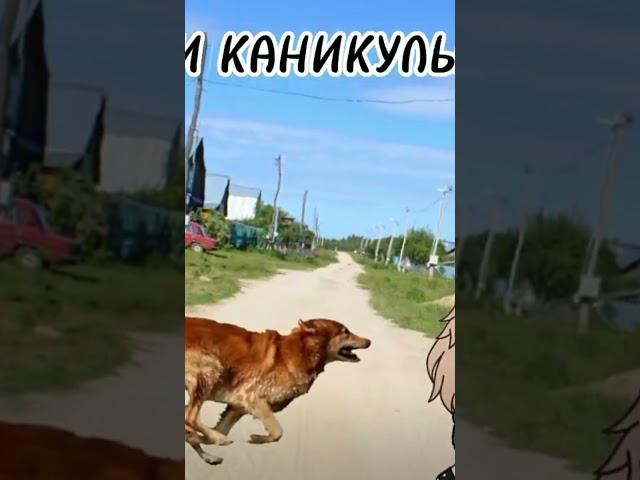 а как вы проводите каникулы
