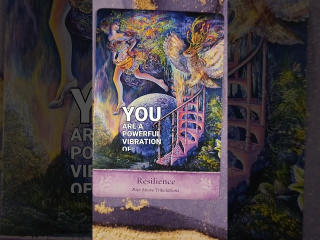 Keep Your Vibration High!  Daily Angel Card Reading