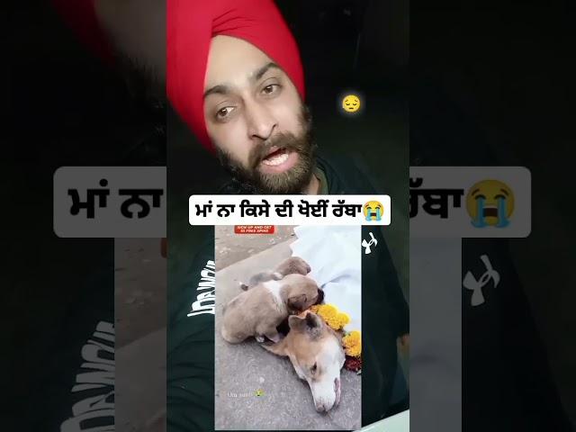 human can feel their pain  #utubeshorts #trendingshorts