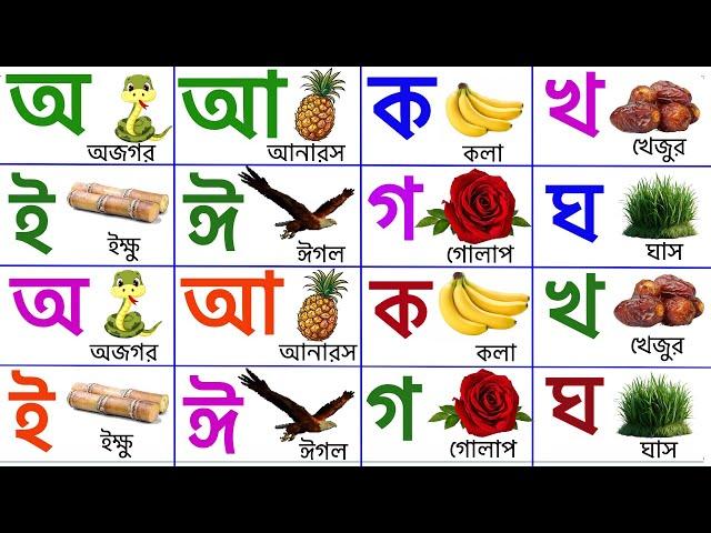 অ আ ই ঈ উ ঊ ঋ এ ঐ ও ঔ | বাংলা স্বরবর্ণ অ আ ই ঈ | ক খ গ ঘ লেখা ও পড়া | বাংলা বর্ণমালা | ব্যঞ্জনবর্ণ
